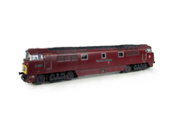 A picture of D1015 representing it in preserved condition. Renumbered with etched nameplates, work plates and running numbers, cantrail stripe added, detailed buffer beam at one end and semi detailed at the coupling end, driver added, ariel on nose, change of headcode to dot version with plastic panels added, smaller holes on wheels, brake rigging, nose end moulded handrails and catch replaced with wire and brass versions with nose end rail replaced with finer version.