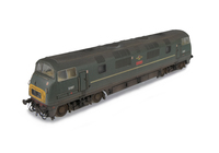 A picture of D807 Details include moulded nose end handrails replaced with wire, detailed buffer beam at one end and semi detailed at coupling end, etched nameplates/workplates, renumbered, driver, holes added to wheels and moulded roof grills replaced with 3D etched fans, grills and ladders.