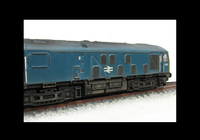 A picture of Close up of class 24 body showing the subtle levels of fading and dappling.