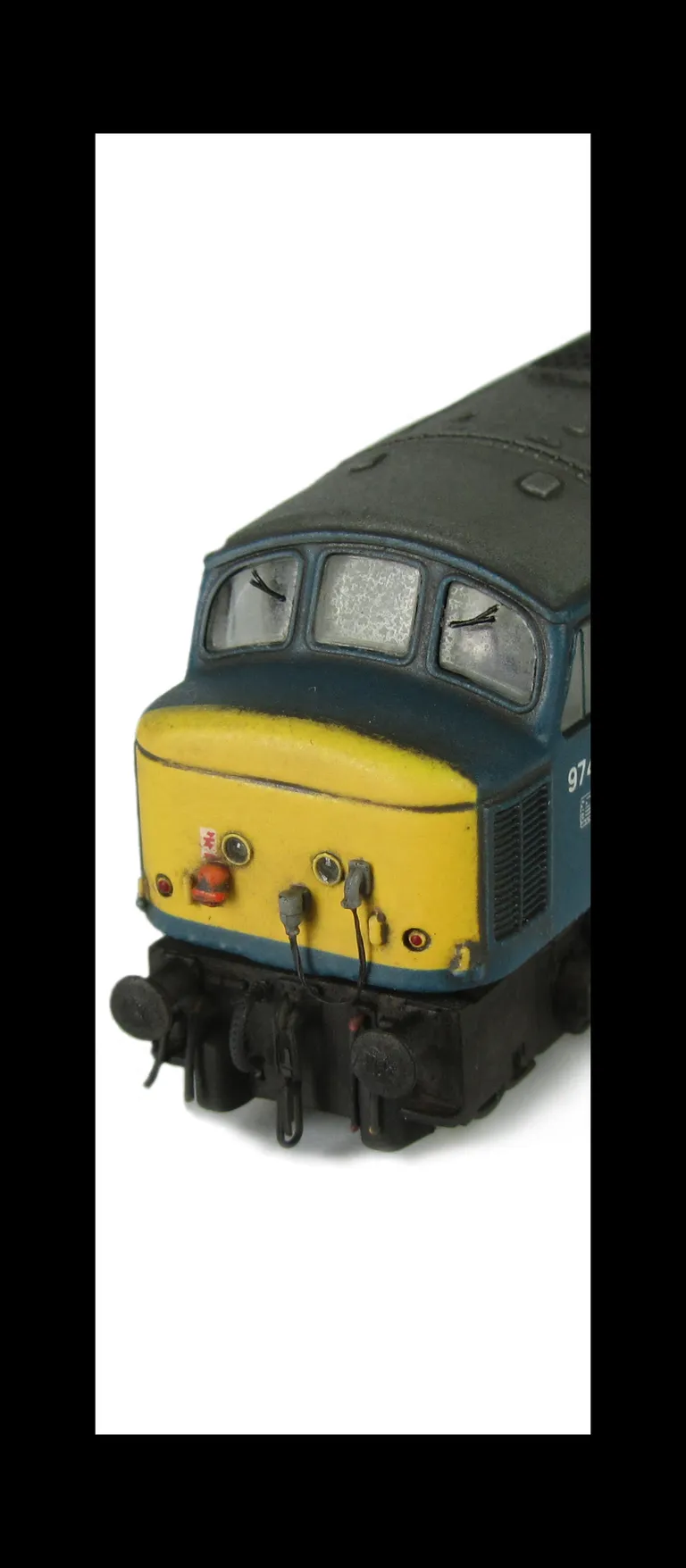 close up of plated over nose end