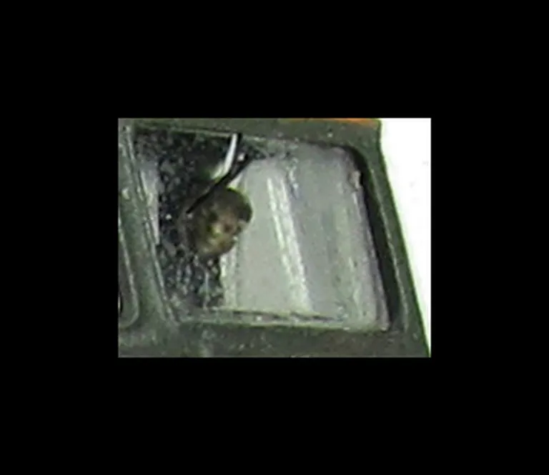Close up of driver fitted in cab.
